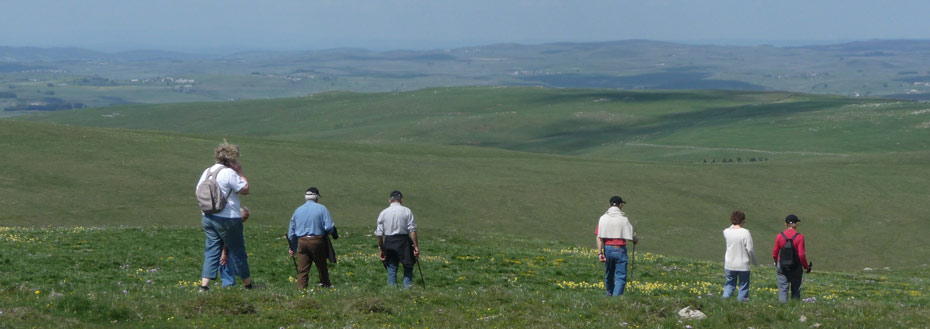 randonnée aubrac