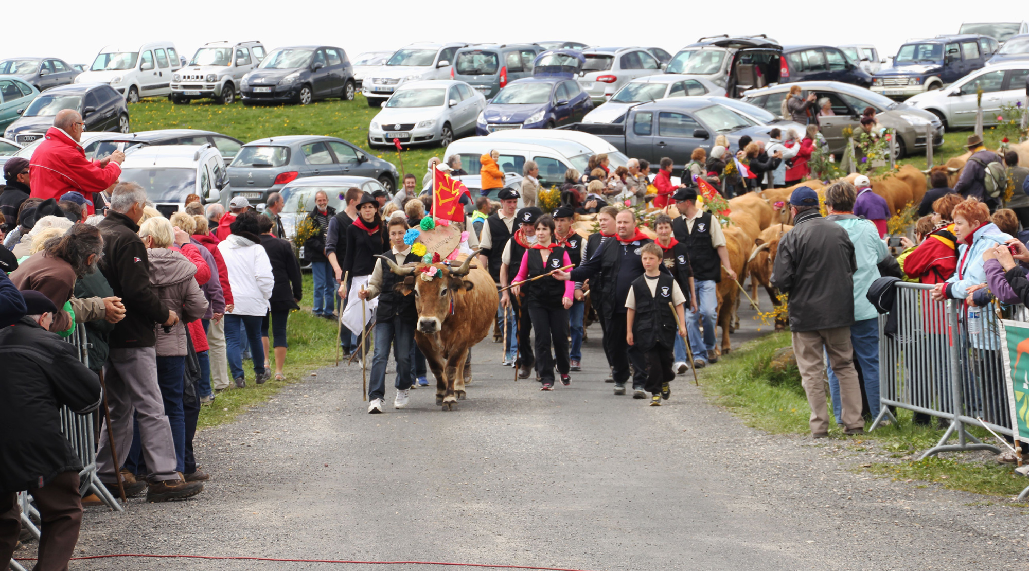Accéder au col de pour la transhumance Col de Aubrac Sud Lozère